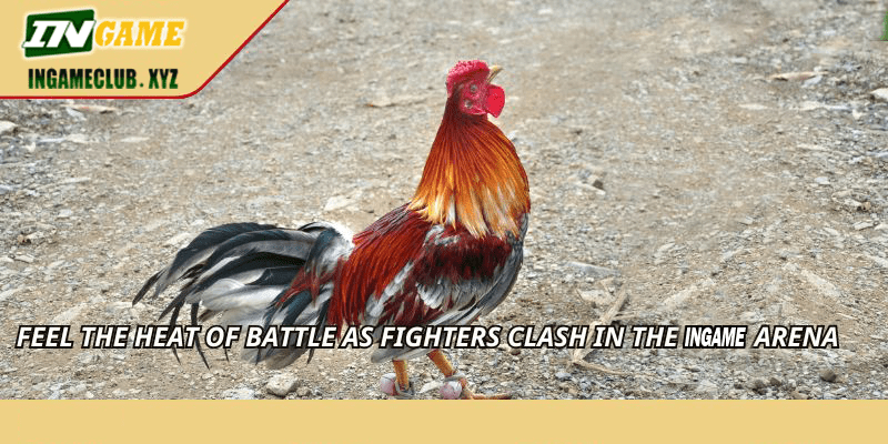 Feel the heat of battle as fighters clash in the PP2 arena