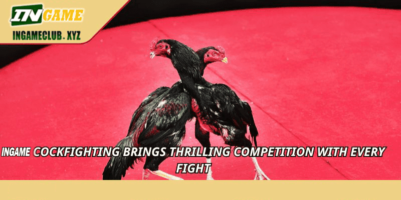 PP2 Cockfighting brings thrilling competition with every fight