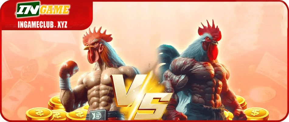 PP2 cockfighting banner hp